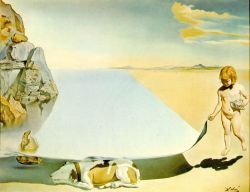 Dali Seashade