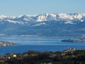 Au Halbinsel Zuerichsee Albis Baldern 5319