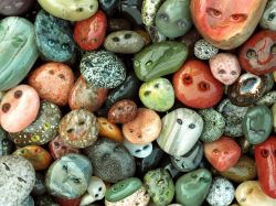 Pebble Peepers